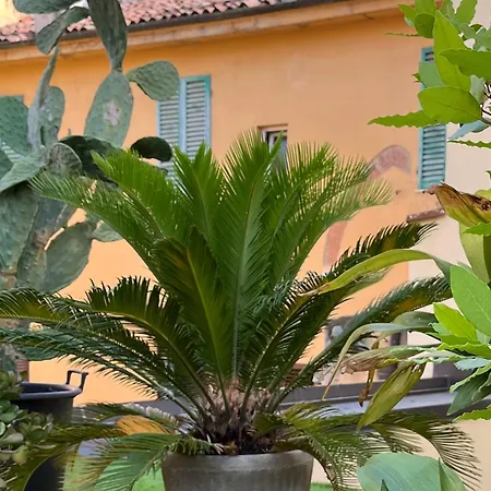 The Jasmine Terrace Retreat Bologne