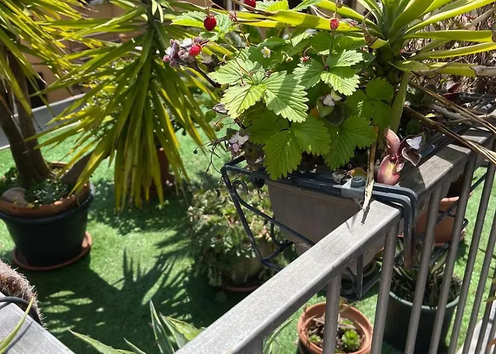 The Jasmine Terrace Retreat