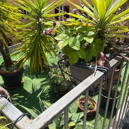 The Jasmine Terrace Retreat