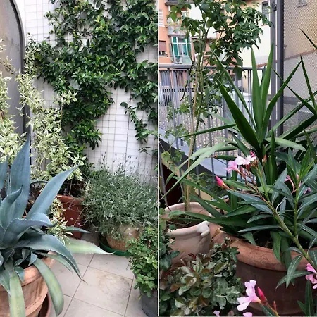 Appartement The Jasmine Terrace Retreat