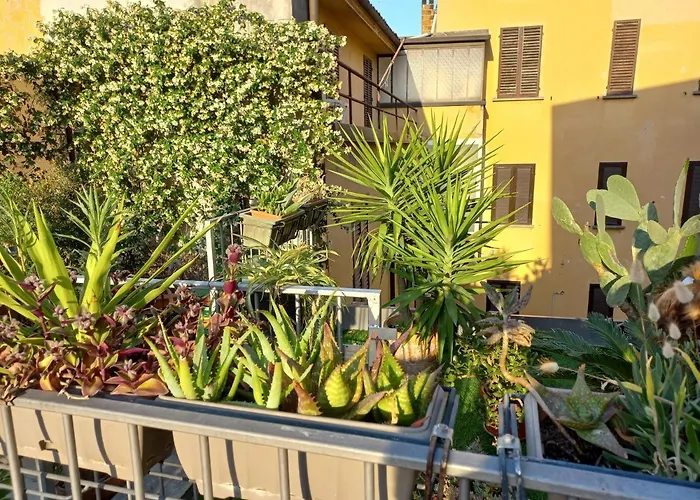 Appartamento The Jasmine Terrace Retreat *