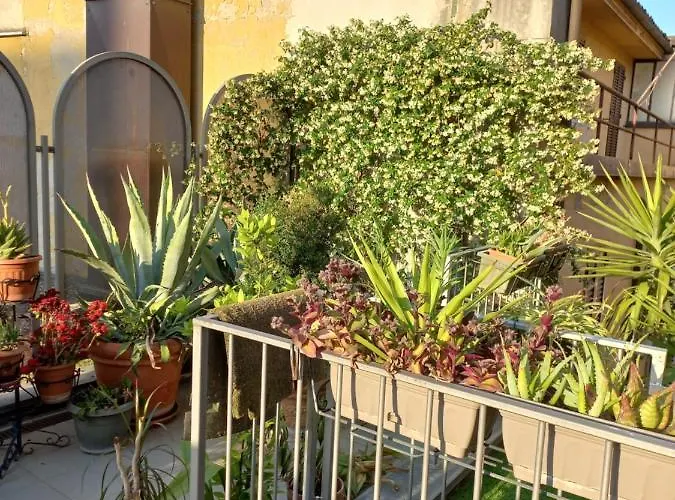 The Jasmine Terrace Retreat * Bologna