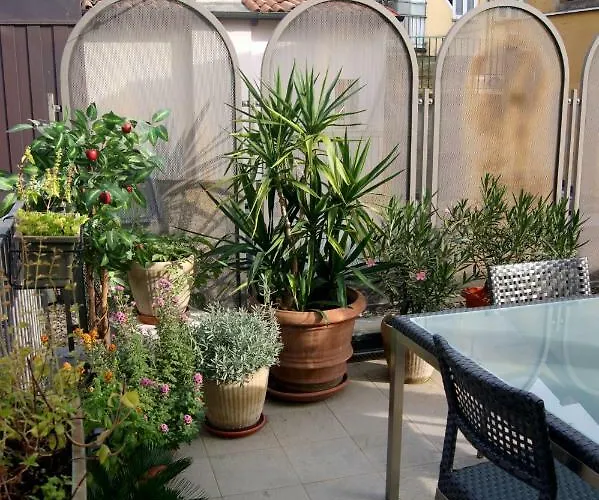 The Jasmine Terrace Retreat Lägenhet