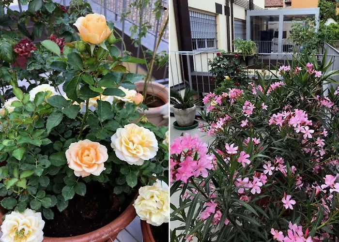 The Jasmine Terrace Retreat