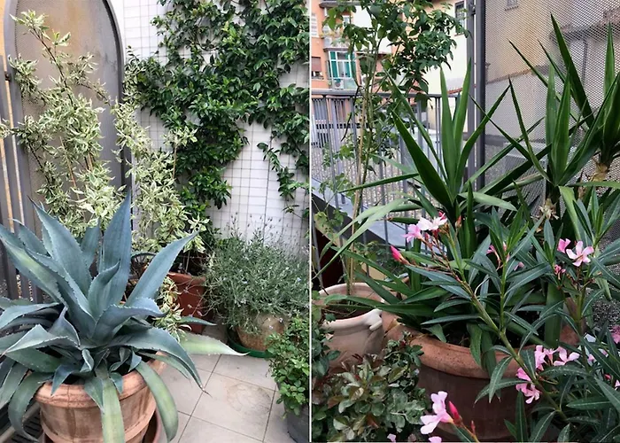 شقة The Jasmine Terrace Retreat